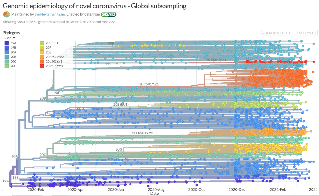 CovidGeneology2021 2