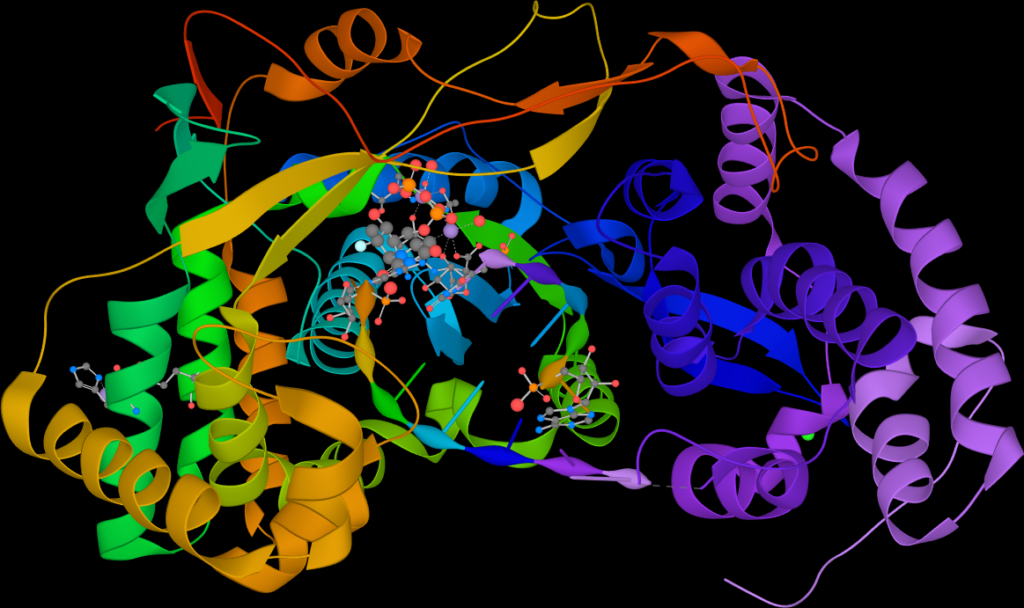 HCV NS5B RdRP stalled 4WTG